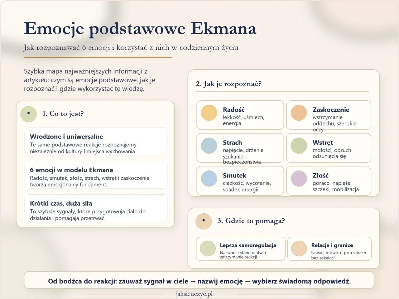 Emocje podstawowe Ekmana - Jak czytać ludzi bez błędów?